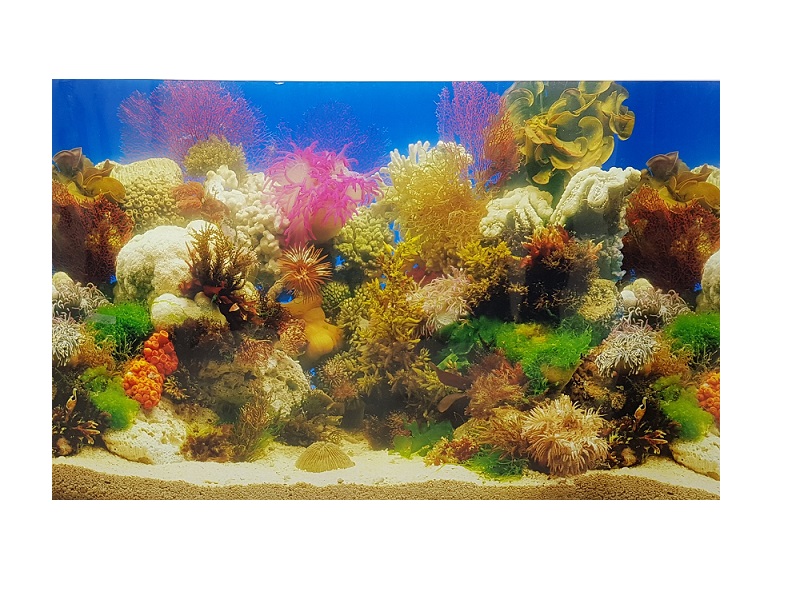 AQL Sfondo Esterno modello Reef cm 100x60H