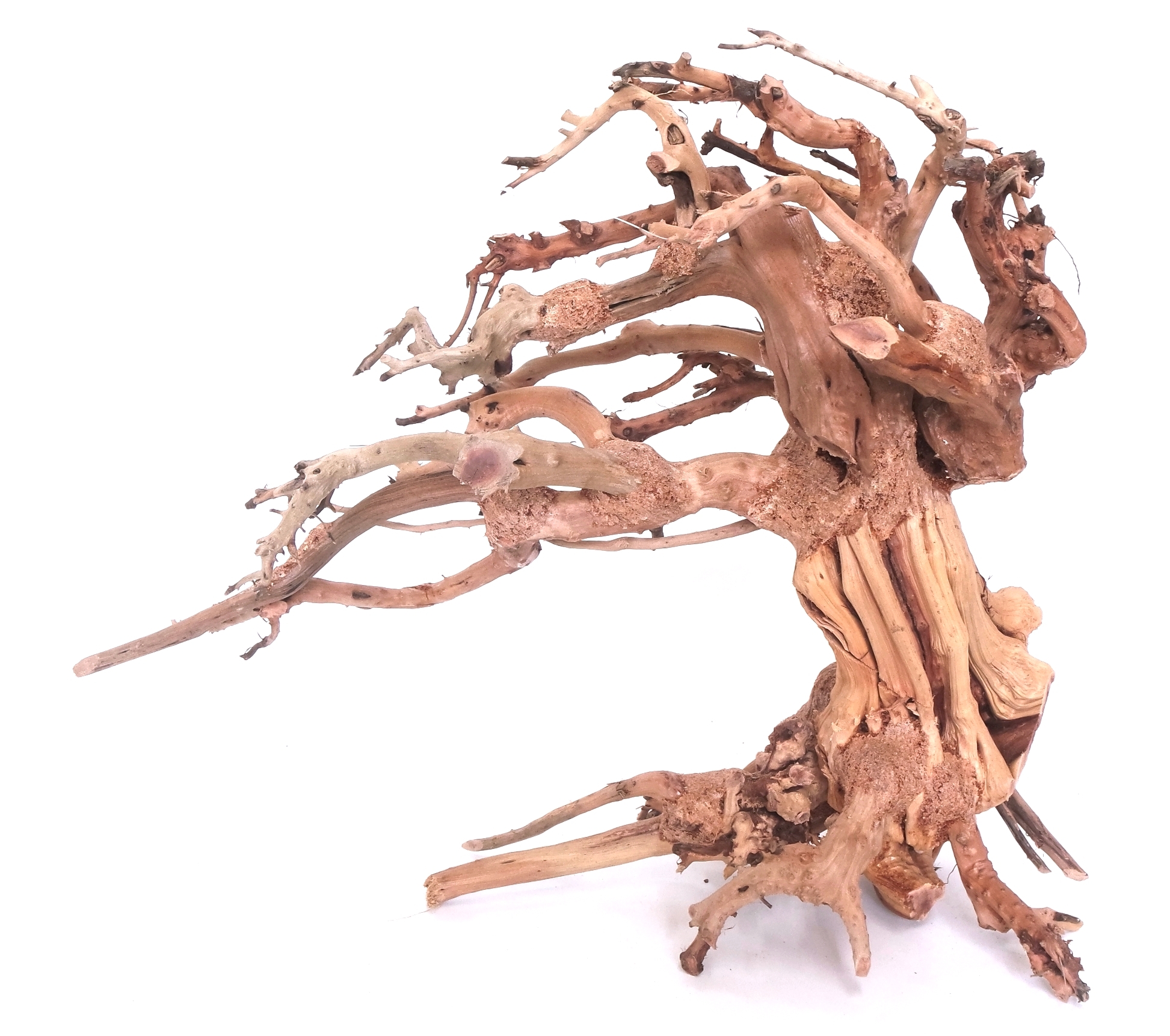 DecorLine Wind Wood misura Medium cm30x23x13h - legno naturale decorativo