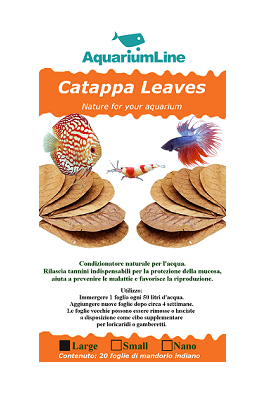 AquariumLine Catappa Leaves Large - 20pz