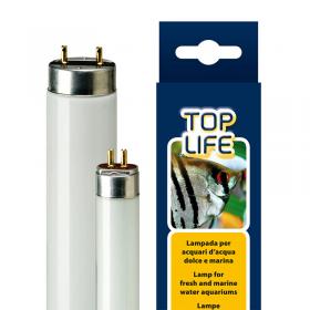 Ferplast Neon T8 TopLife 14watt - Riproduce Fedelmente La Luce Naturale - 5000K