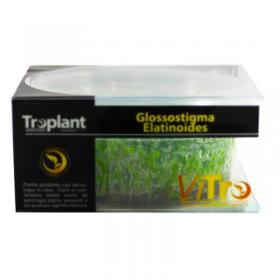 Troplant Linea Vitro Glossostigma Elatinoides  90