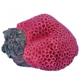 AQL Decorazione Corallo in Resina Modello Goniopora Purple cm20x15x11h