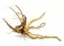 DecorLine Spider Wood Foto Indicativa - Legni decorativi naturali per acqua dolce