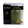 Troplant Linea Vitro Ludwigia "Sp Mini Super Red"- Article To Be Sold Only In Italy