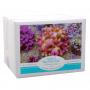 Korallen Zucht Reefers Bio Reef Salt Premium Quality 20kg