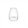 Terrario Bottle Garden Vaso conico per Terrario in vetro cm23x28h