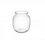 Terrario Bottle Garden Vaso Cilindrico per Terrario in vetro cm24,5x25h