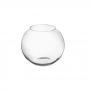 Terrario Bottle Garden Boccia sferica per Terrario in vetro cm30x24,5h