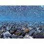AquariumLine A8011160 Sfondo Esterno con Doppia Possibilit Modello Acqua Roccia/Vegetazione Dolce cm 100x45H