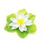 Decorative Plants Plastic Composition Series Ninfea White 10cm