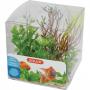 Zolux Decor Plant Box 4pz kit 2 - mix di 4 piante artificiali