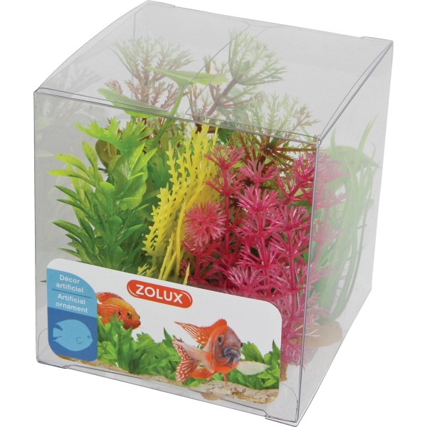 Zolux Decor Plant Box 6pz kit 4   - Negozio Acquari