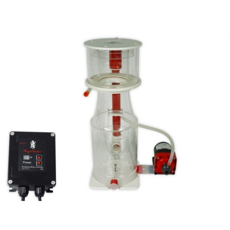 Royal Exclusiv Skimmer Bubble-King Supermarin 200 + RD3 Speedy