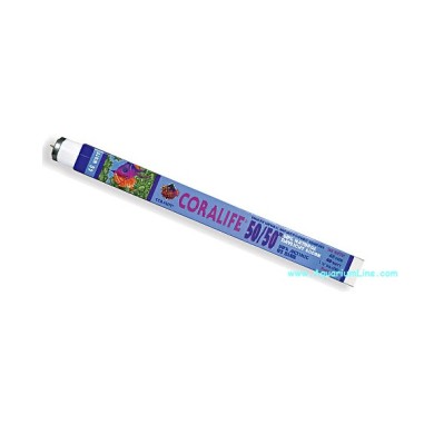 Coralife Neon T8 50/50 36w