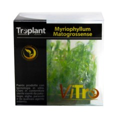 Troplant Linea Vitro Myriophyllum Matogrossense Ø 60