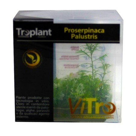 Troplant Linea Vitro Proserpinaca Palustris Ø 60