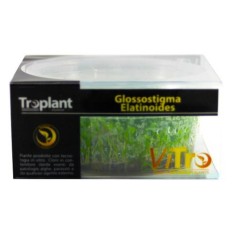 Troplant Linea Vitro Glossostigma Elatinoides Ø 90