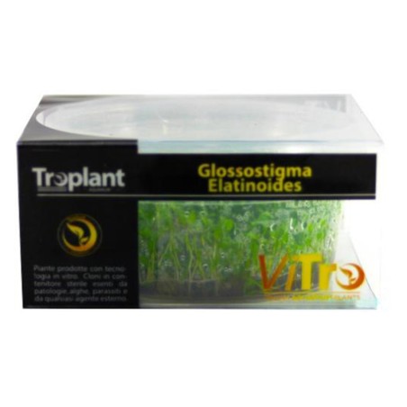 Troplant Linea Vitro Glossostigma Elatinoides Ø 90