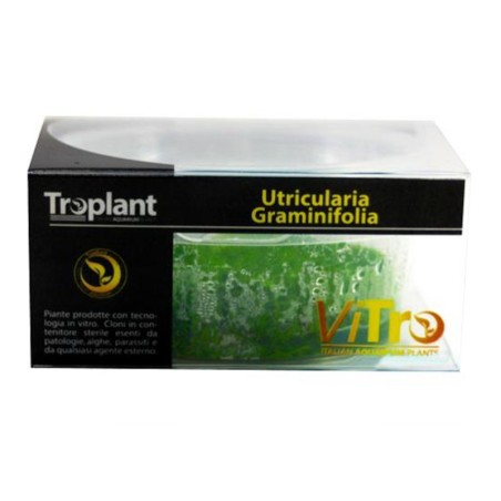 Troplant Linea Vitro Utricularia Graminifolia Ø 90