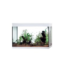Askoll Pure Kit High Cube XL - acquario 130L cm76x36x57h dotato di illuminazione LED e sistema di filtraggio