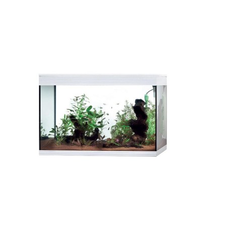 Askoll Pure Kit High Cube XL - acquario 130L cm76x36x57h dotato di illuminazione LED e sistema di filtraggio