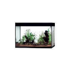 Askoll Pure Kit High Cube XL - acquario 130L cm76x36x57h dotato di illuminazione LED e sistema di filtraggio