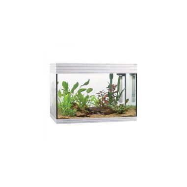Askoll Pure kit L LED - kit acquario cm 56x36x43,5h 68 litri con illuminazione LED e sistema di filtraggio