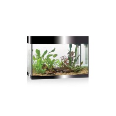 Askoll Pure kit L LED - kit acquario cm 56x36x43,5h 68 litri con illuminazione LED e sistema di filtraggio