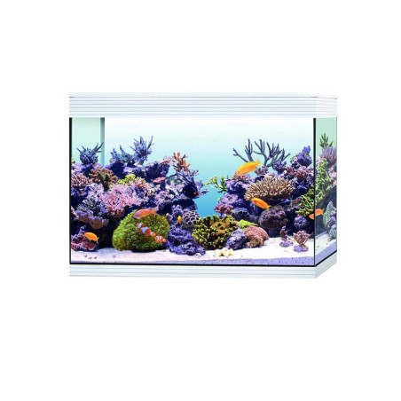 Askoll Pure Marine XL HC LED - acquario 130L cm76x36x57h con illuminazione LED e filtro per Acqua Marina