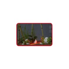 Askoll Stick Light Tempting Red - luce decorativa a LED colore rosso consumo 1,5W 2