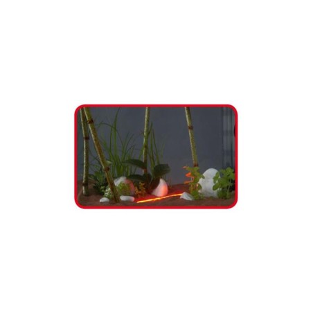Askoll Stick Light Tempting Red - luce decorativa a LED colore rosso consumo 1,5W Askoll Stick Light Tempting Red - luce decorativa a LED colore rosso consumo 1,5W
