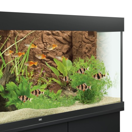 Juwel Filter Cover 3D 55x18cm - Coprifiltro Interno