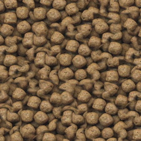 Haquoss KoiLife Pellets 1000ml/360gr Ø6mm - mangime in pellet per pesci da laghetto