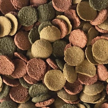 Haquoss Tablet Mix - mangime in pastiglie affondanti con spirulina per pesci da fondo