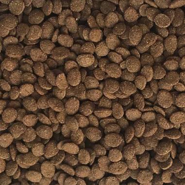 Haquoss Tartadult Pellet 1000ml - Pellets per tartarughe acquatiche adulte
