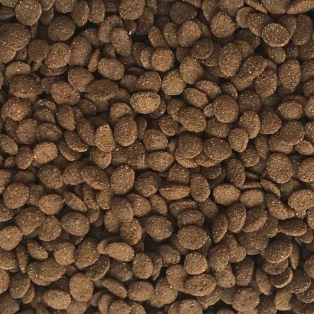 Haquoss Tartadult Pellet 1000ml - Pellets per tartarughe acquatiche adulte