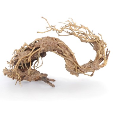 Amtra Legno Oriental Wind 2 Small cm22x10x15h