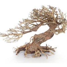 Amtra Legno Oriental Wind 3 Small cm23x10x17h