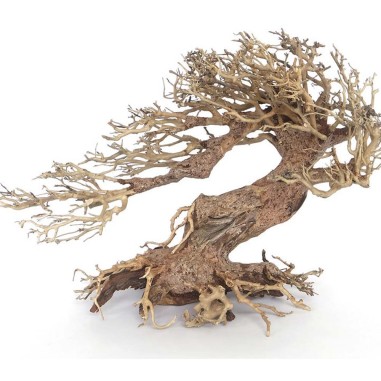 Amtra Legno Oriental Wind 3 Small cm23x10x17h
