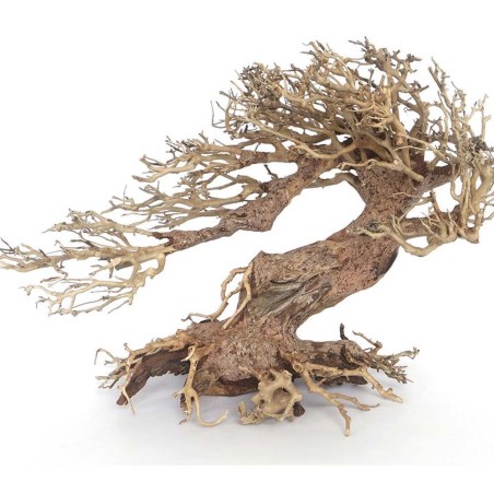 Amtra Legno Oriental Wind 3 Small cm23x10x17h