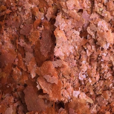 Amtra Pro Color F - Mangime in scaglie per la naturale colorazione dei pesci d’acquario