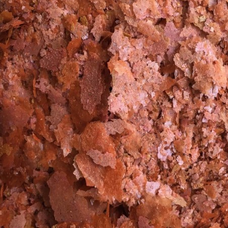 Amtra Pro Color F - Mangime in scaglie per la naturale colorazione dei pesci d’acquario