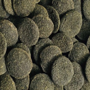 Amtra Pro Pleco T - Mangime in tavolette a base di lignina e minerali per Loricaridi
