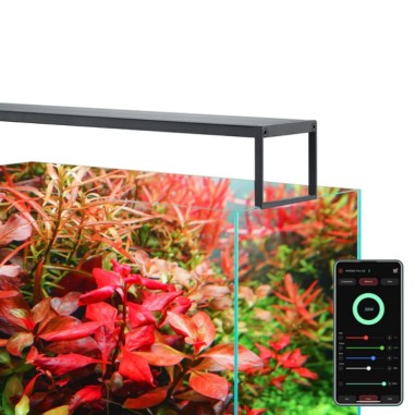 Chihiros WRGB II Slim - Plafoniera con App per acquari d' acqua dolce