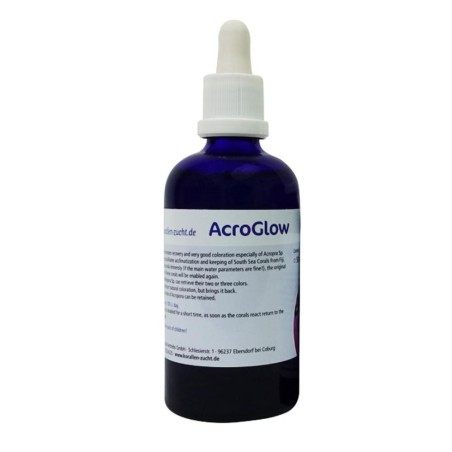 Korallen-Zucht AcroGlow