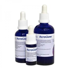 Korallen-Zucht AcroGlow