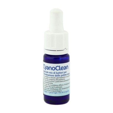 Korallen-Zucht CyanoClean