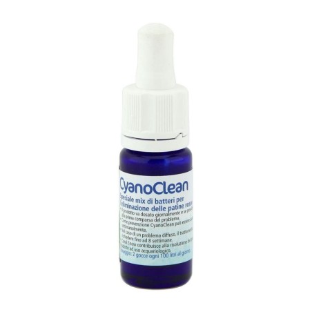Korallen-Zucht CyanoClean