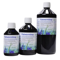 Korallen-Zucht FlatwormStop - protegge i coralli dalle turbellarie che si cibano del tessuto delle acropore