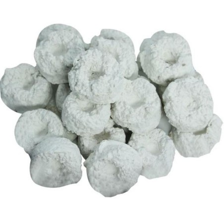 Korallen-Zucht Frag Stones 20pz - Basette per Talee